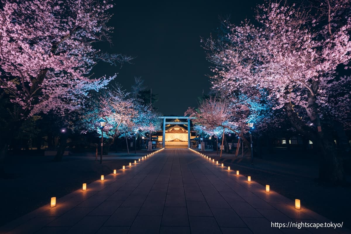 靖國神社夜櫻參拜 2026の夜景