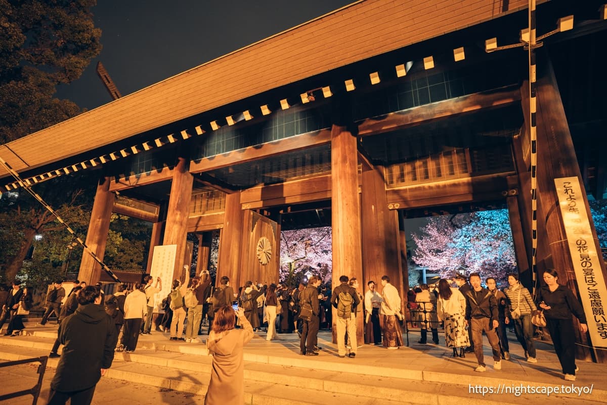靖國神社夜櫻參拜的熱鬧人潮