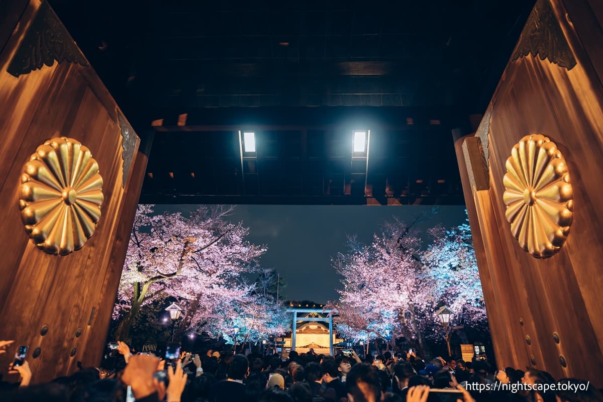 靖國神社夜櫻參拜的熱鬧人潮