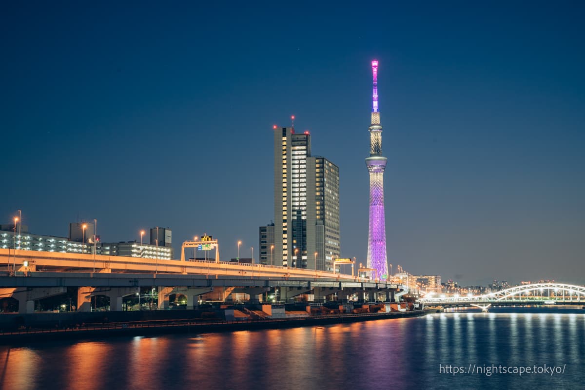 汐入公园的夜景