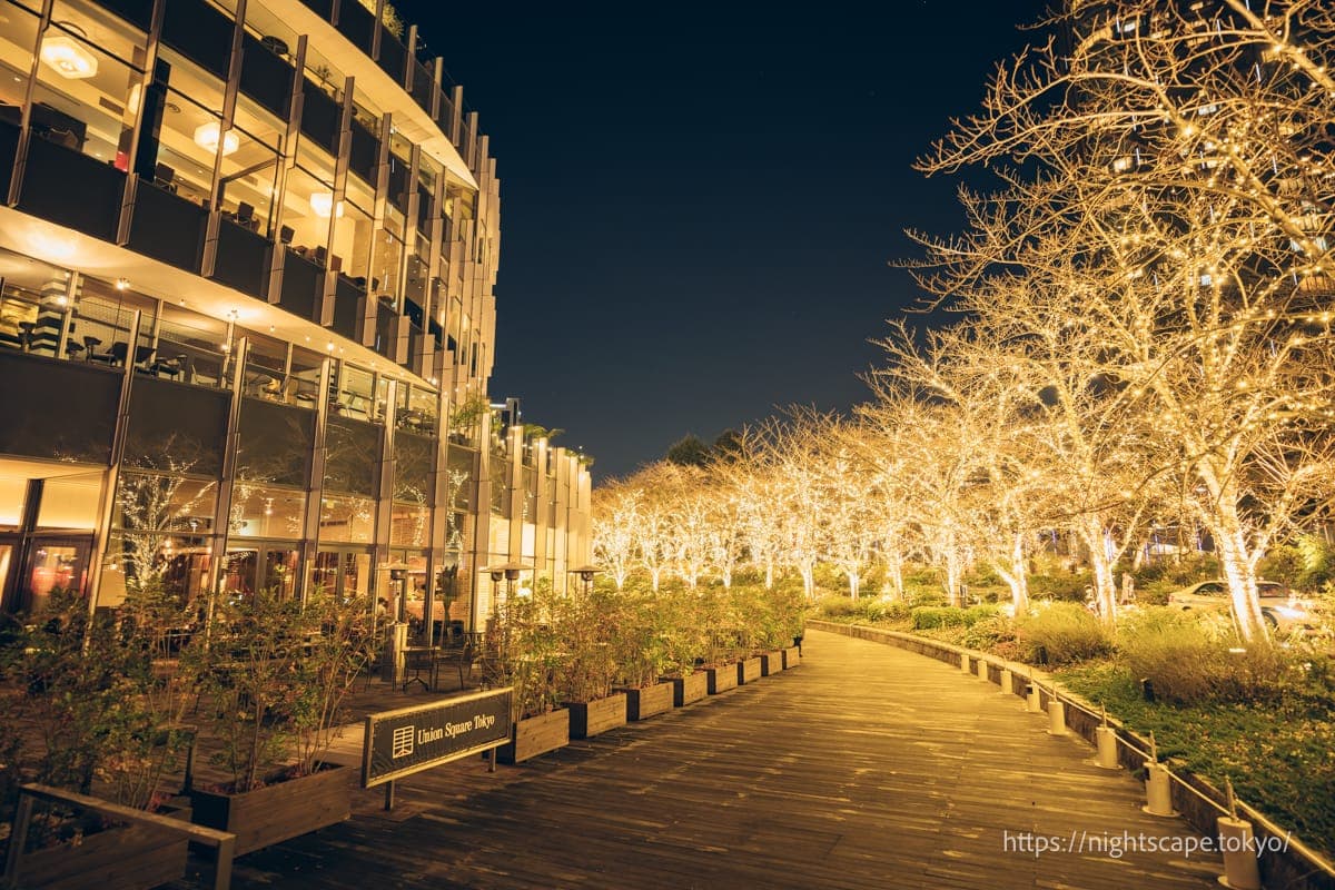 【2025】东京都内推荐彩灯活动汇总