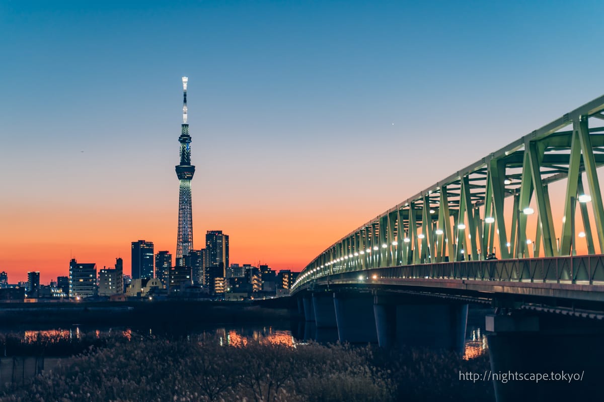 Illuminated Tokyo Sky Tree and Kinegawa Bridge
