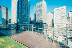 Atmosphere of the KITTE rooftop garden (daytime).