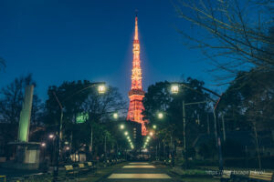 Tokyo Tower viewed from Shiba Park 4.