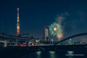 View of the Sumida River fireworks display taken from the Shioiri Park area.