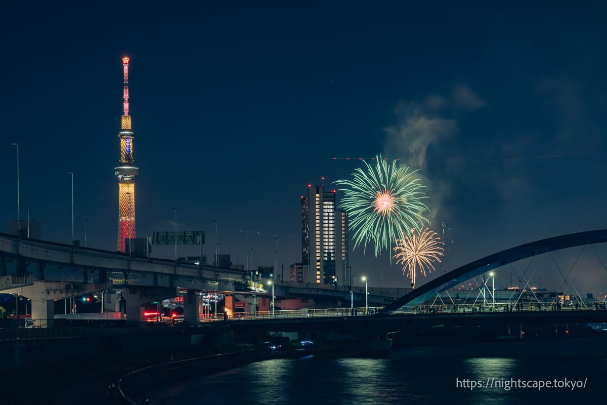 View of the Sumida River fireworks display taken from the Shioiri Park area.