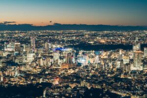 Night view of Shinjuku Gyoen and skyscrapers in Shinjuku (north)