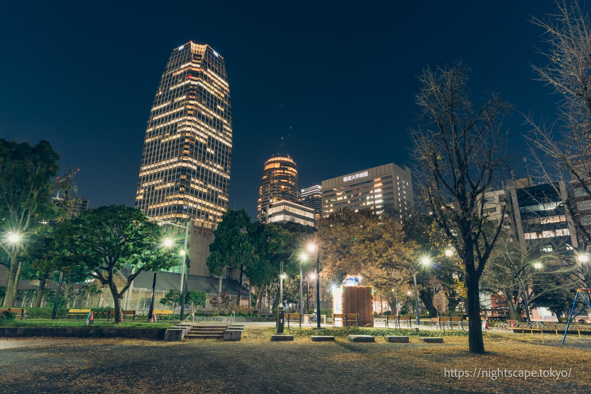 Night view of buildings from Shiba Park Lot 4.