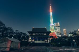 Tokyo Tower shines in special Christmas lights.