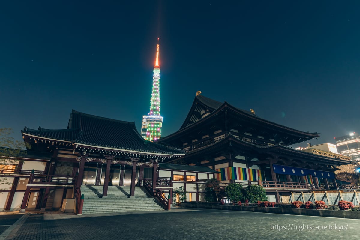 Tokyo Tower shines in special Christmas lights.