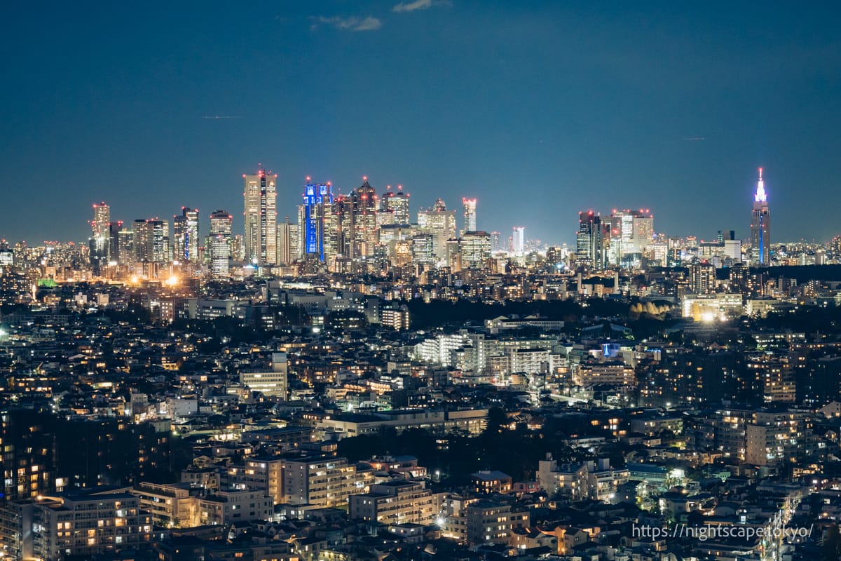 Skyscrapers in the direction of Shinjuku