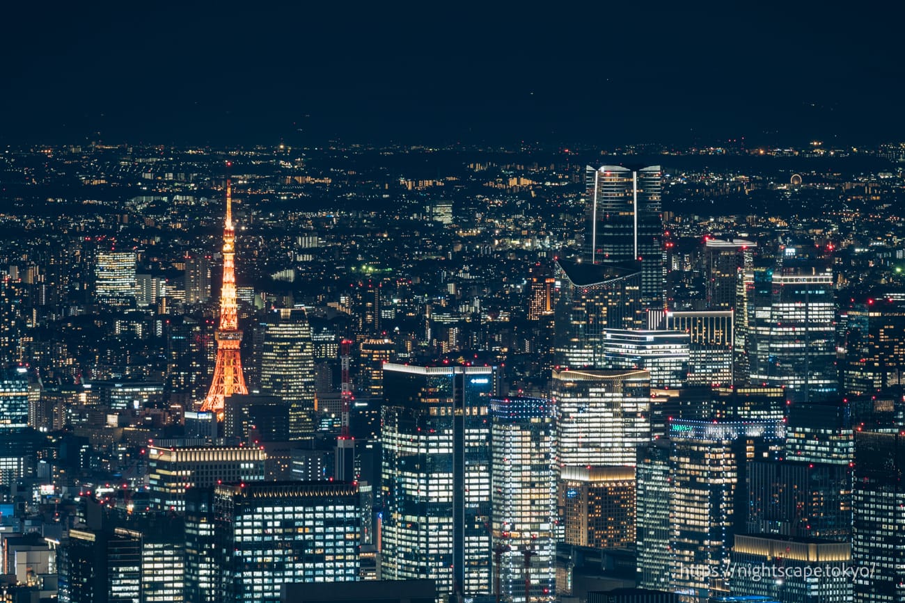 Illuminated Tokyo Tower.