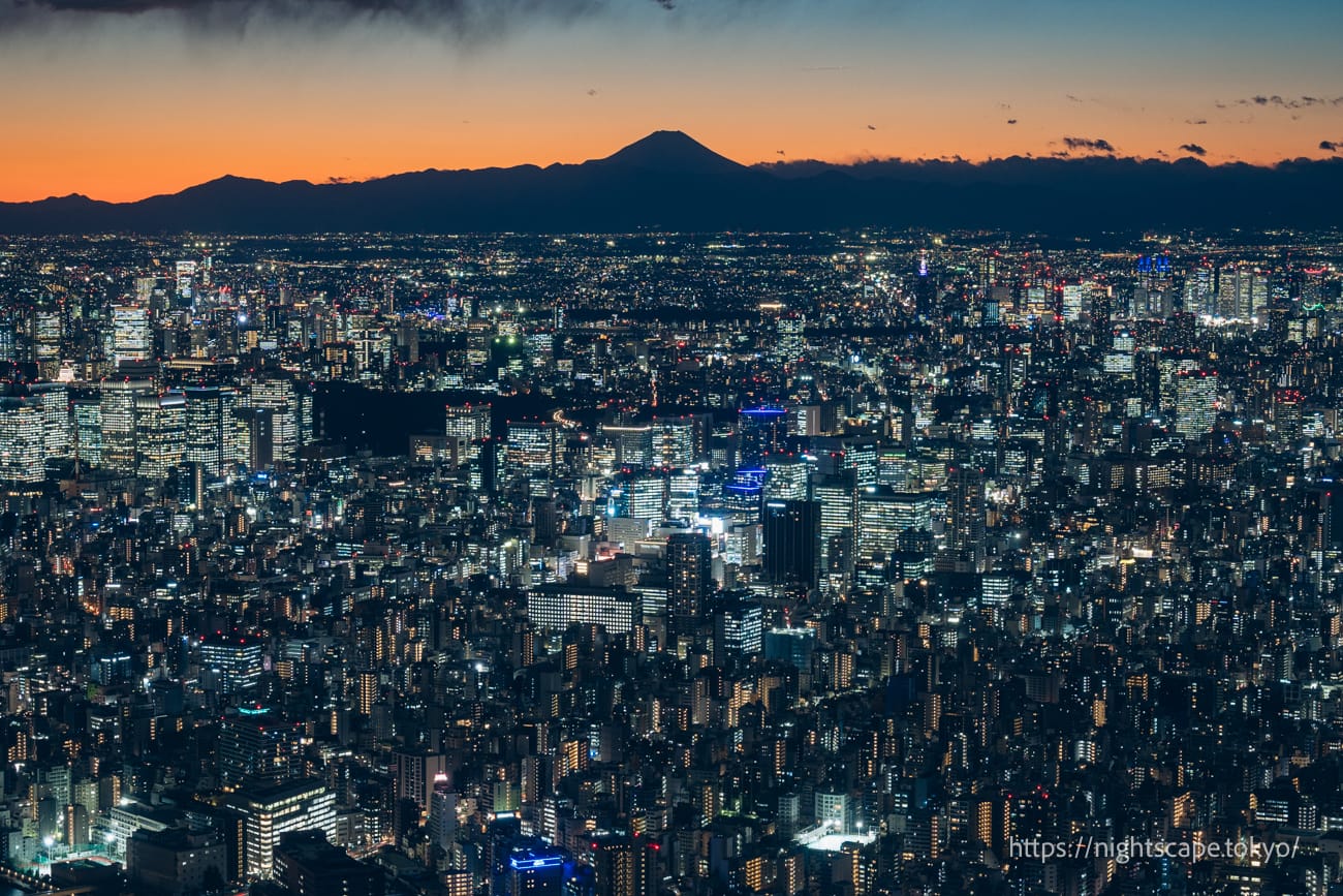 Night views of Mt Fuji and the Chiyoda Ward area