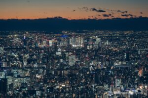 Shinjuku skyscrapers (e.g. Metropolitan Government Building, Cocoon Tower)