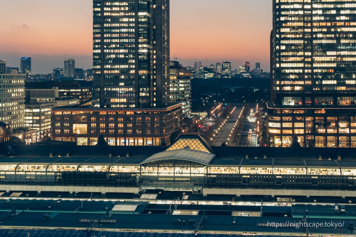 Tokyo Station and Gyoko-dori Avenue