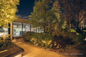 Atmospheric rooftop garden.