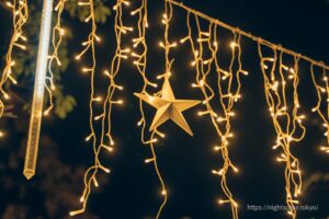 Omohara Forest Illumination