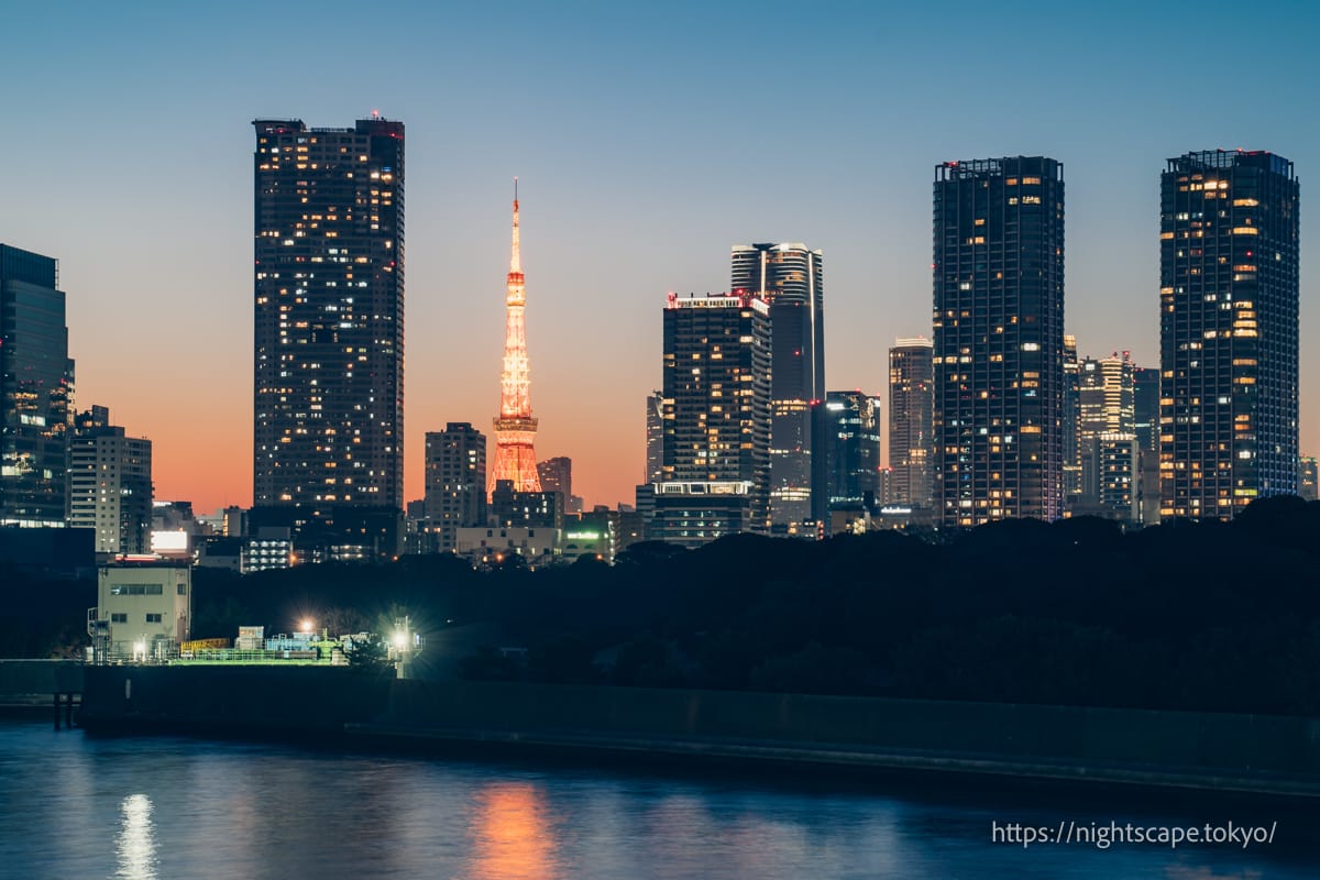 Night view of Tokyo Tower and Minato Ward