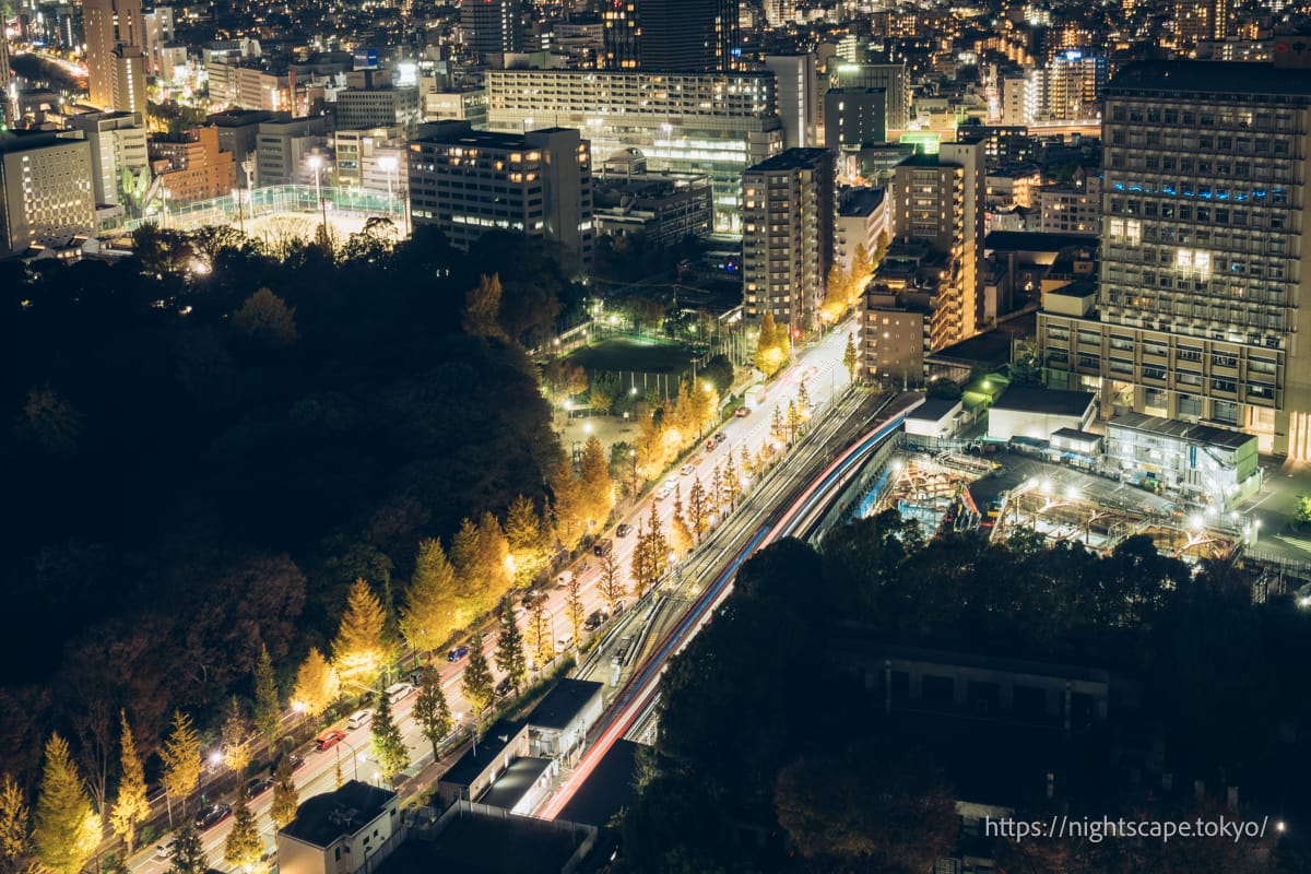 Gingko tree-lined avenue viewed from the Bunkyo Civic Centre observation lounge.