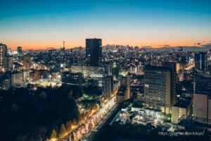 View from the Bunkyo Civic Centre Observation Lounge