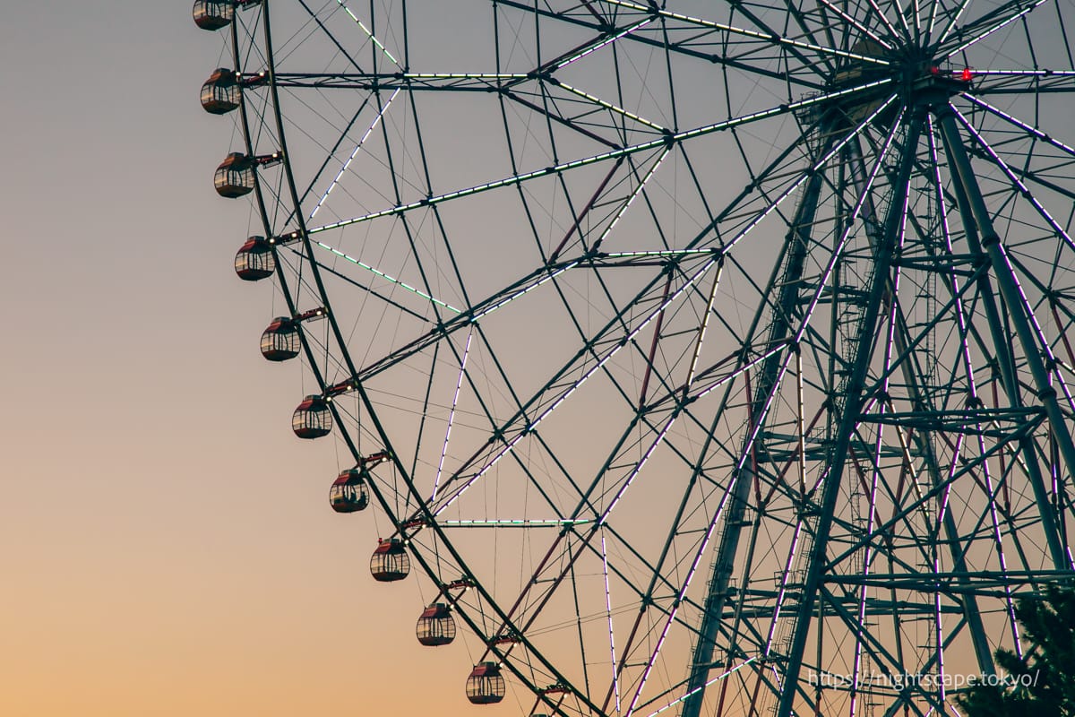 Giant Ferris Wheel of Diamonds and Flowers