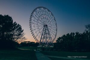  The 117-metre-high Giant Ferris Wheel being illuminated.