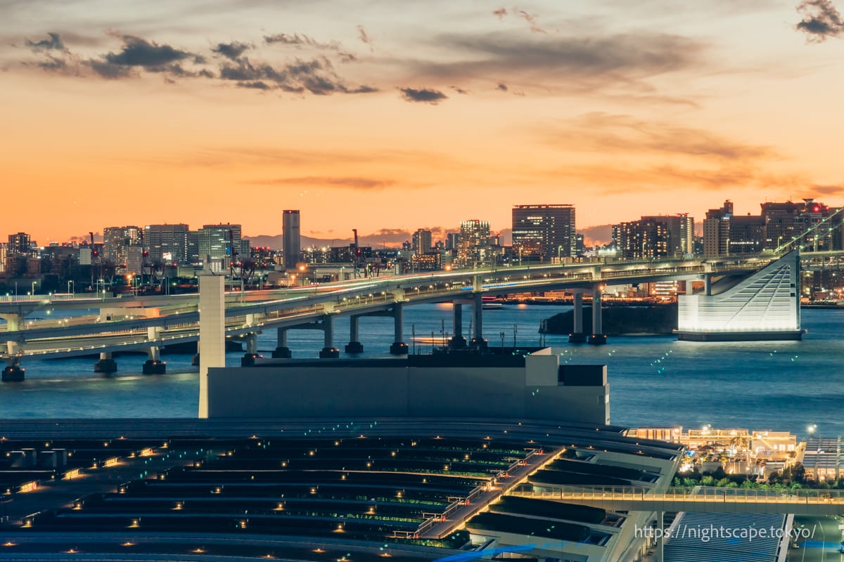 Rainbow Bridge and Toyosu Gururi Park