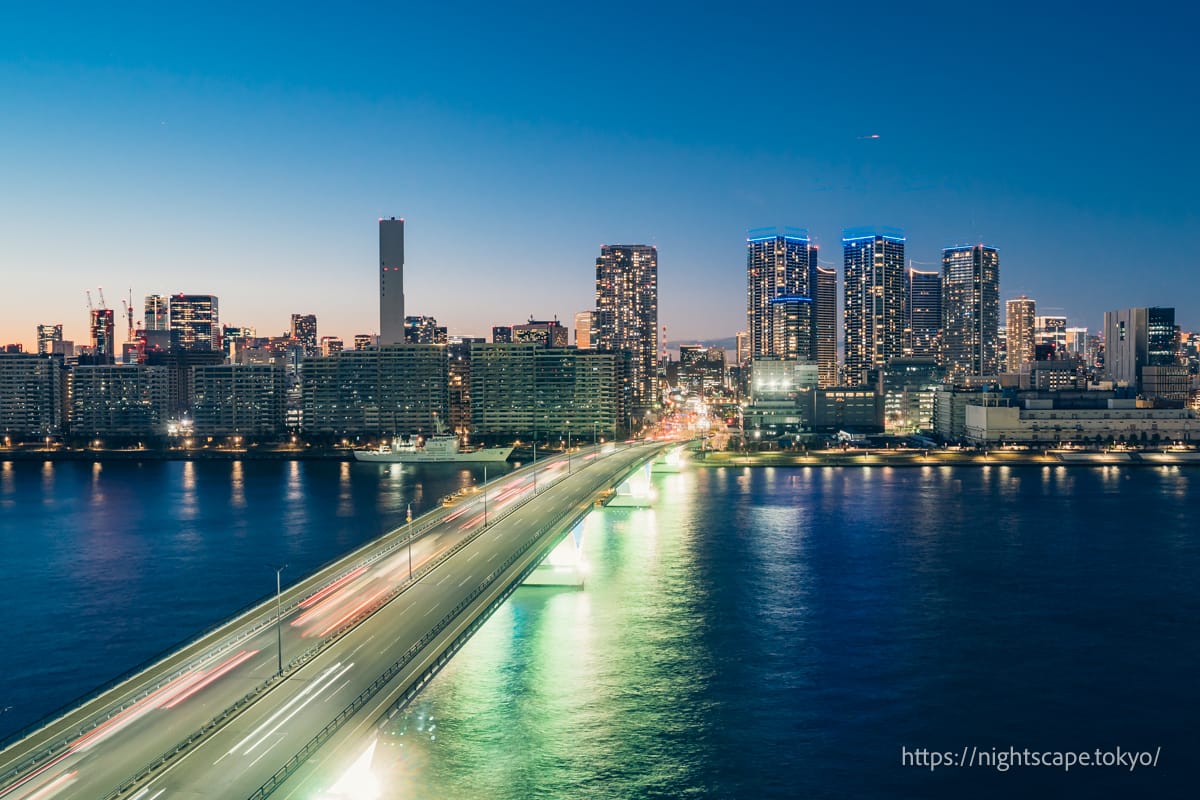 Toyosu Bridge and the skyscrapers of the Harumi area