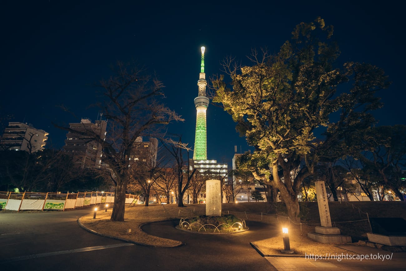 Night view of Sumida Park, Sumida