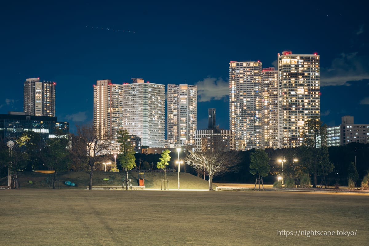 Night view of Toyosu 6-chome Park