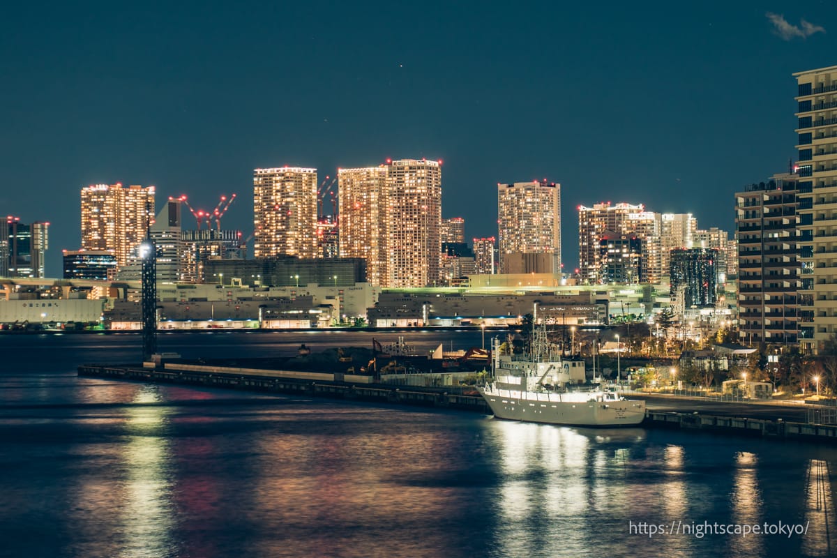 Night view of the Toyosu Bridge