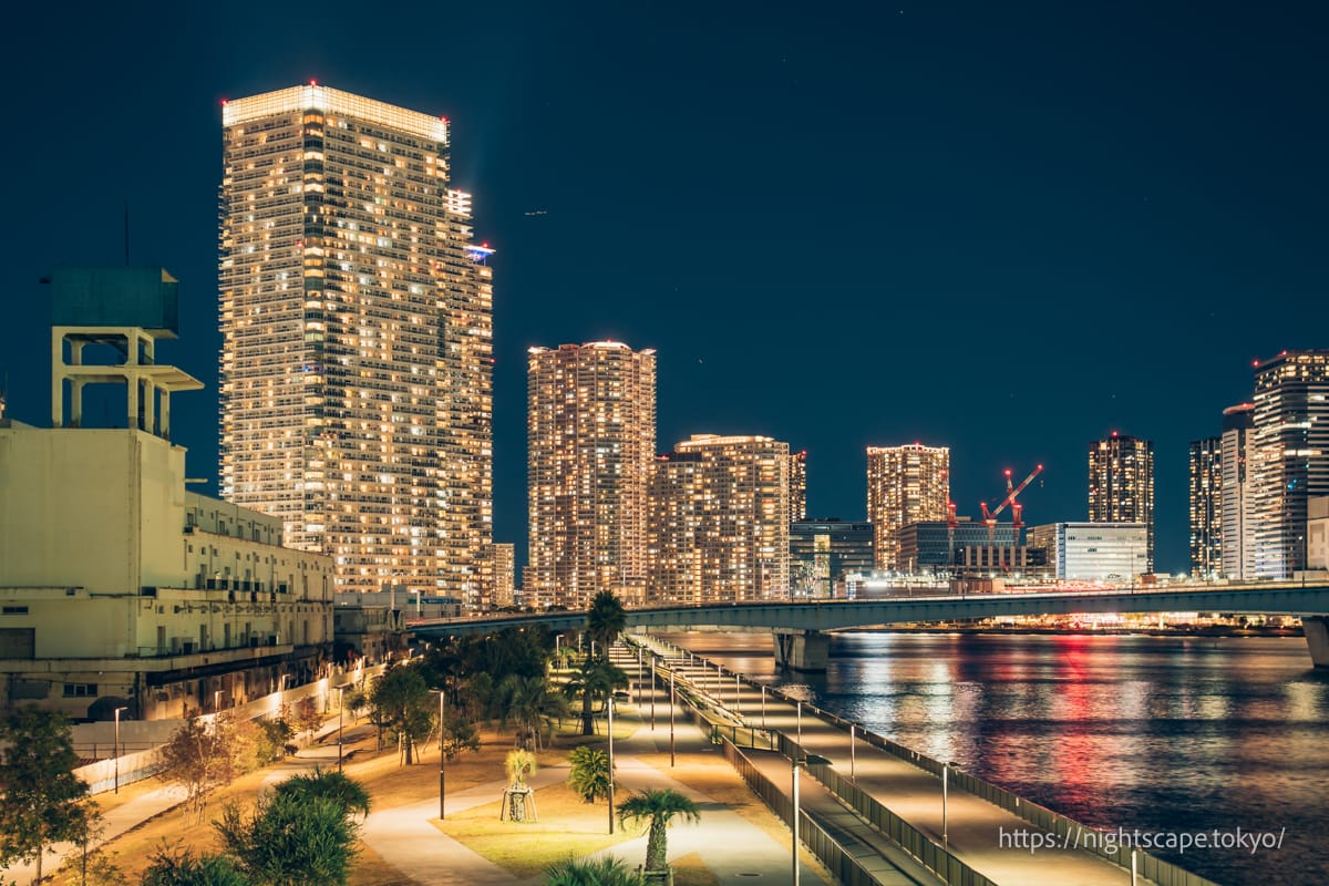 Skyscrapers in the Harumi area 