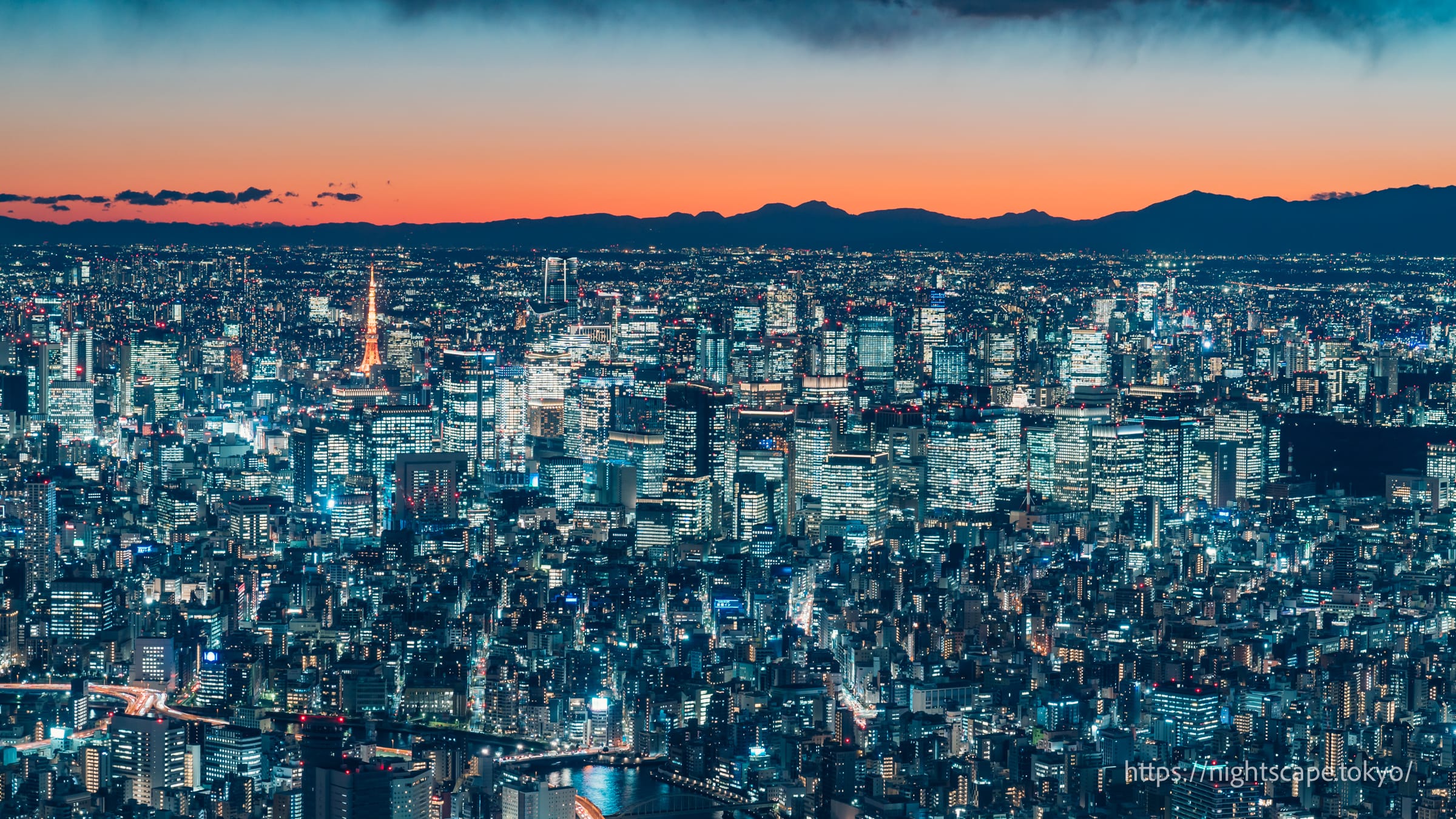 Night view of Tokyo buildings from Tokyo Sky Tree