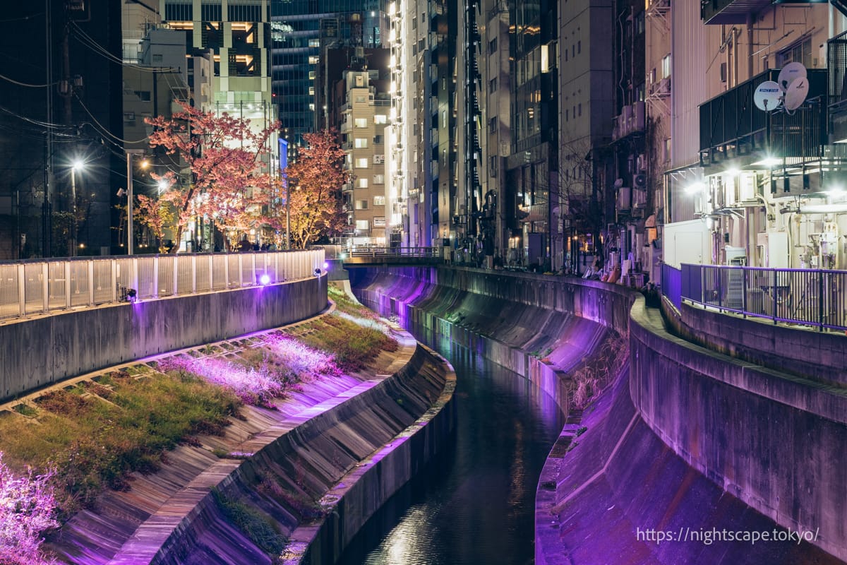 Night view of Shibuya River Street