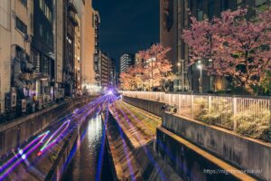 Shibuya River lit up