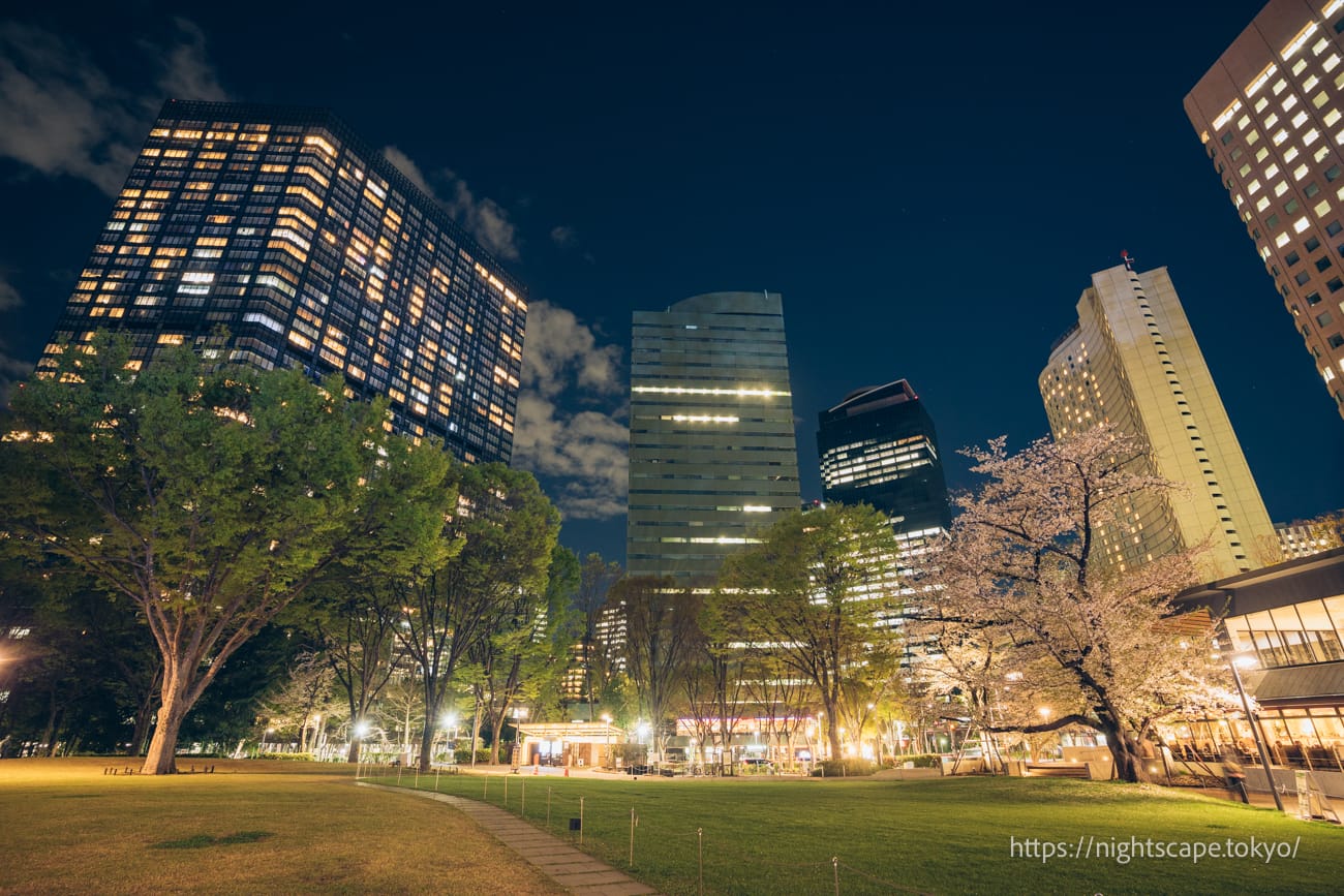 Night view of Shinjuku Chuo Park