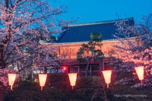 Kiyomizu Kannondo Hall illuminated by lights