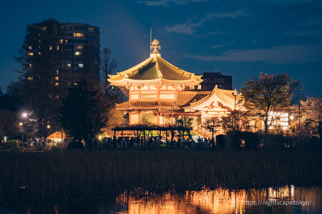 Shinobazunoike Oratory illuminated by lights