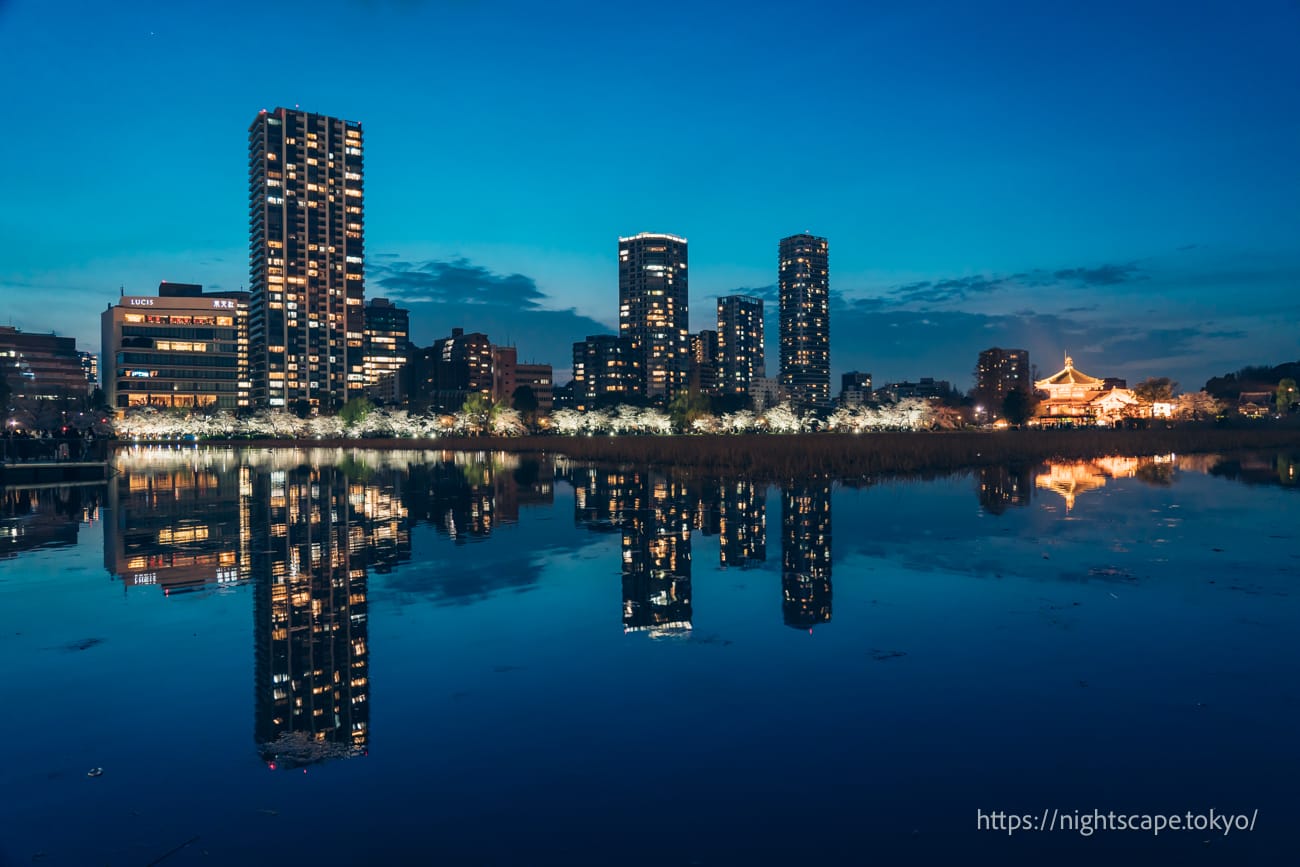 Shinobazuno Pond with beautiful reflections