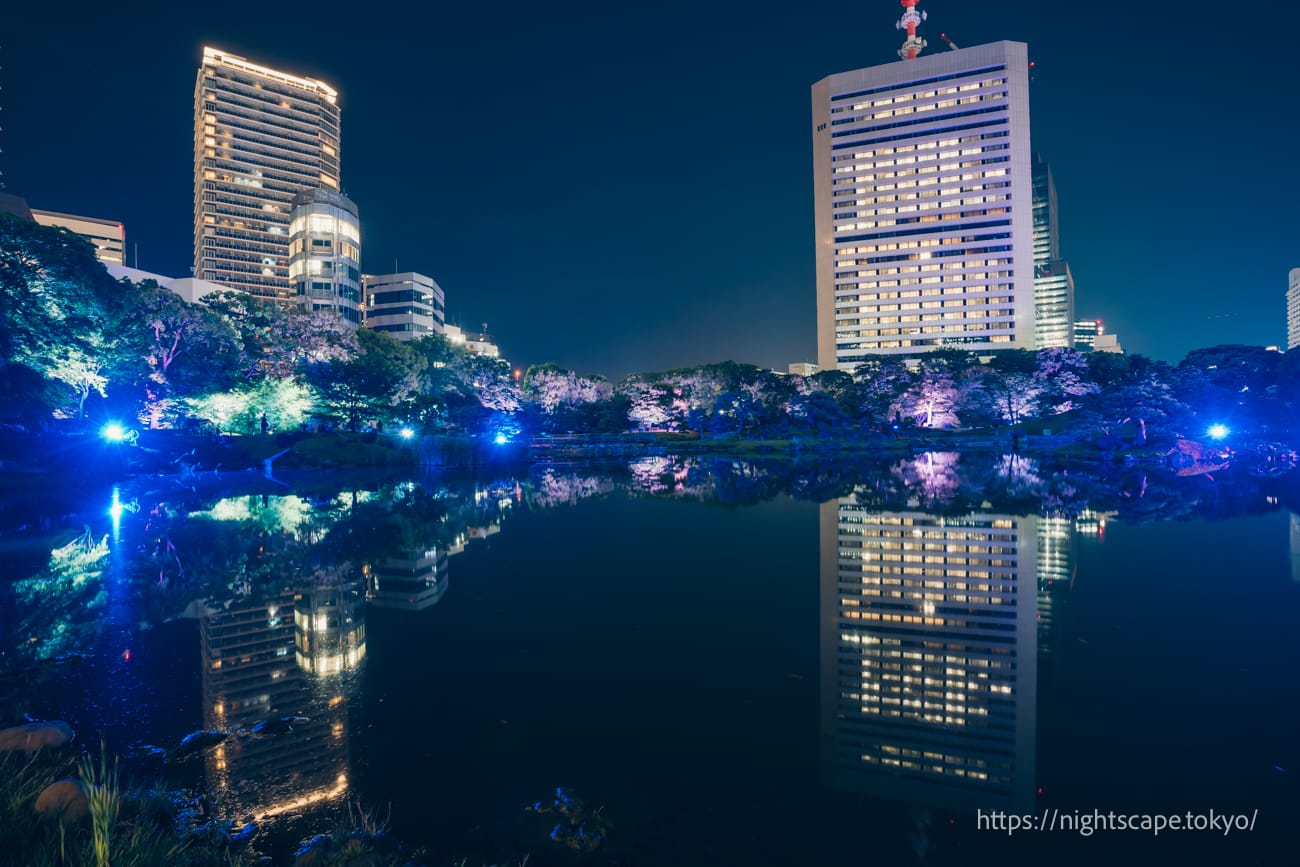 Reflection of the pond in Kyu-Shibarikyu Gardens