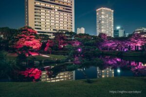 Kyu-Shibarikyu Gardens illuminated in red