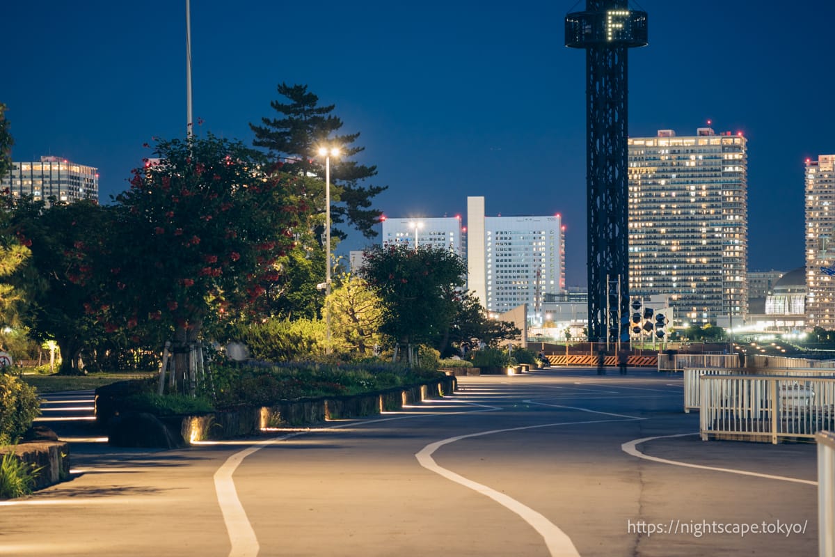 Atmosphere of Harumi Pier Park at night