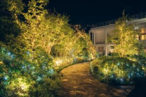 Beautifully illuminated atmosphere in the garden