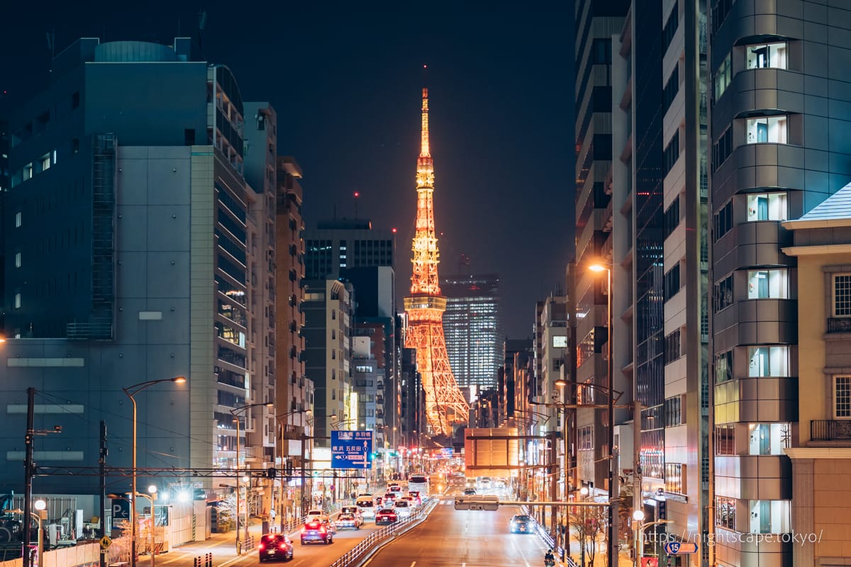 후다노츠지바시 보도교에서 보이는 도쿄타워