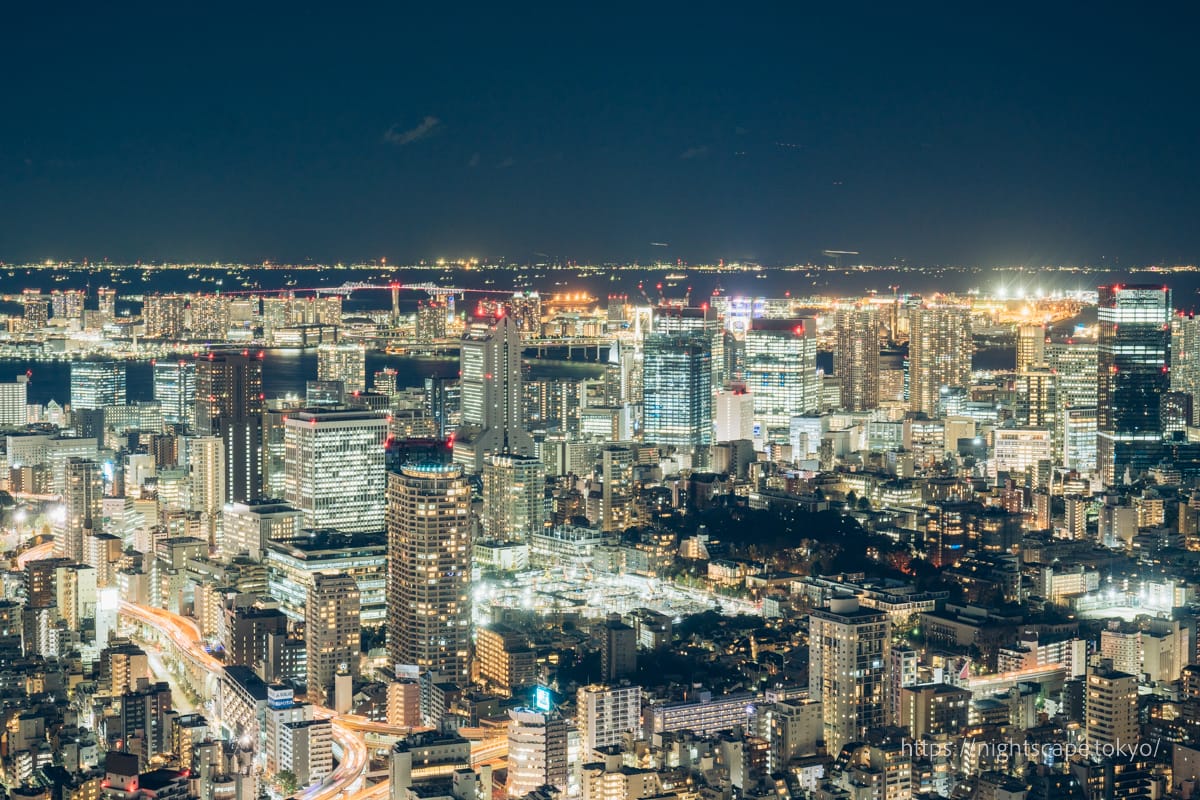 도쿄 게이트 브리지와 도쿄만의 야경(남쪽)