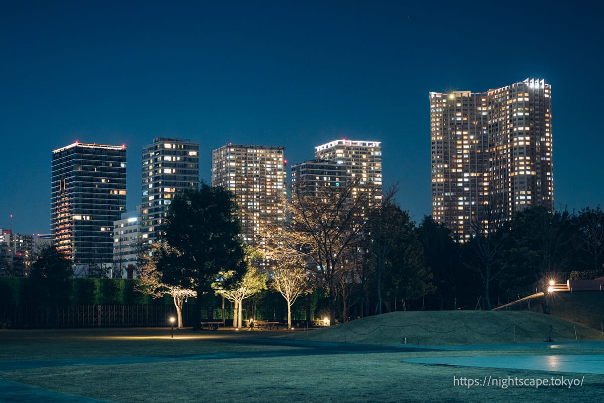 시나가와 시즌 테라스에서 바라보는 고층 빌딩숲의 야경