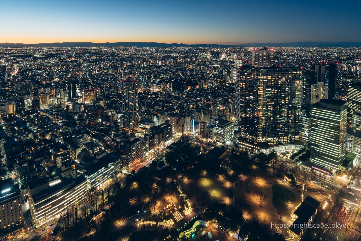 從東京都廳南展望台看到的夜景