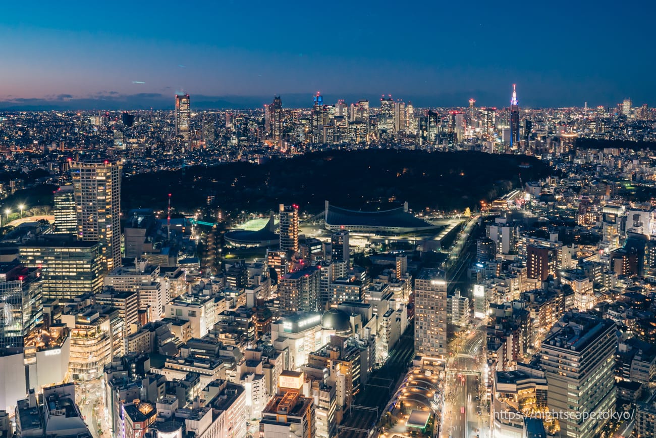 新宿地區摩天大樓和新宿御苑的夜景