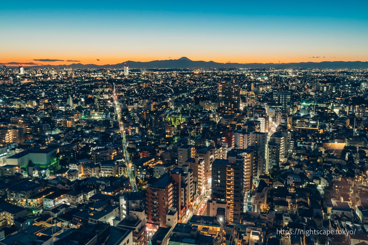 從胡蘿蔔塔展望台眺望富士山和世田谷區的街景