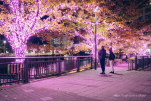 舉辦彩燈活動的五反田海濱廣場